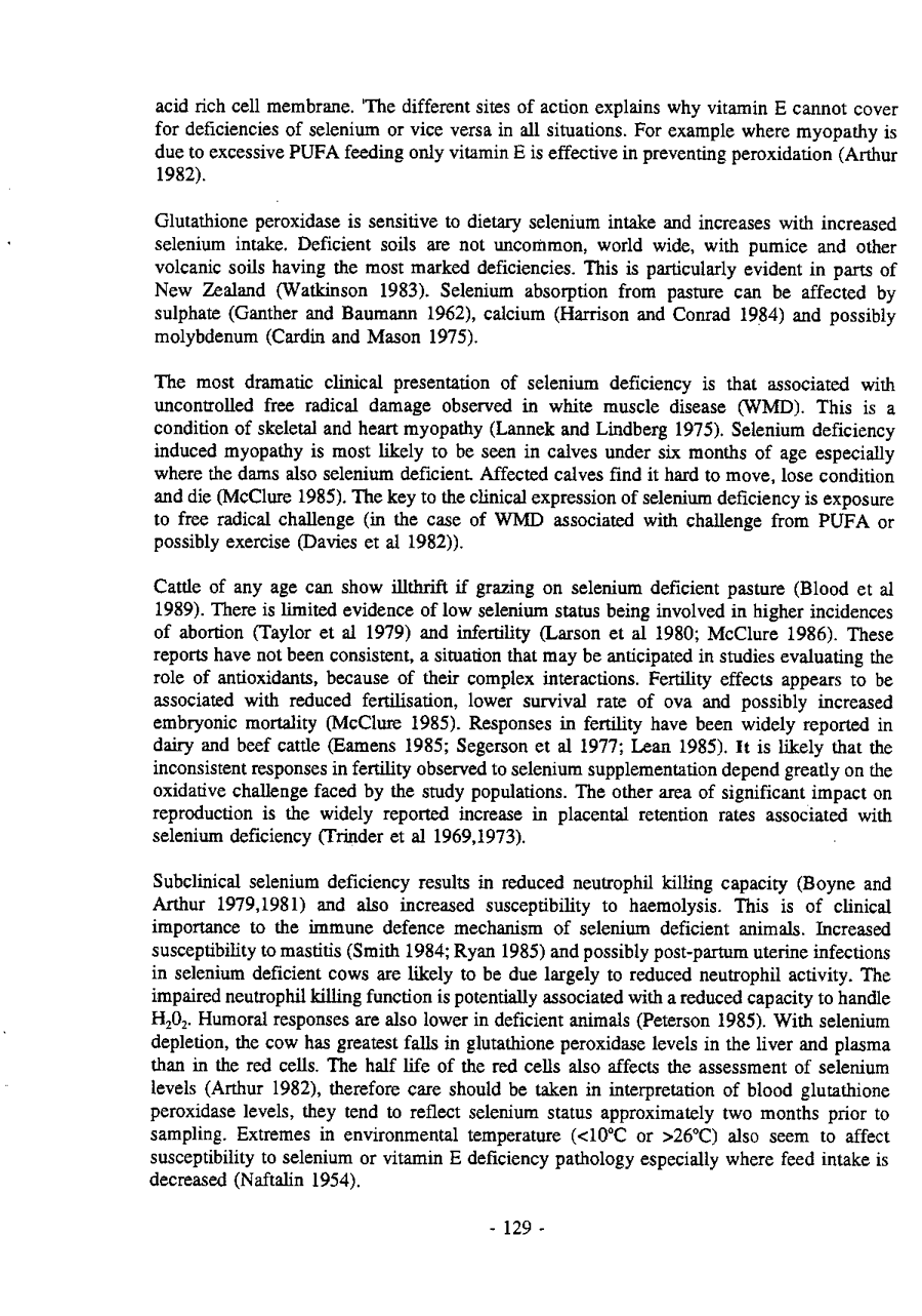 1993 Page 129